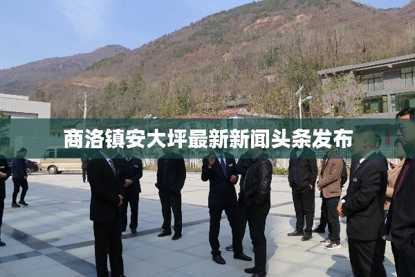 商洛镇安大坪最新新闻头条发布