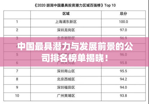 中国最具潜力与发展前景的公司排名榜单揭晓！