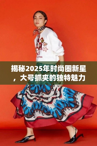 揭秘2025年时尚圈新星，大号抓夹的独特魅力与流行趋势解析