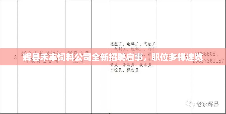 辉县禾丰饲料公司全新招聘启事，职位多样速览