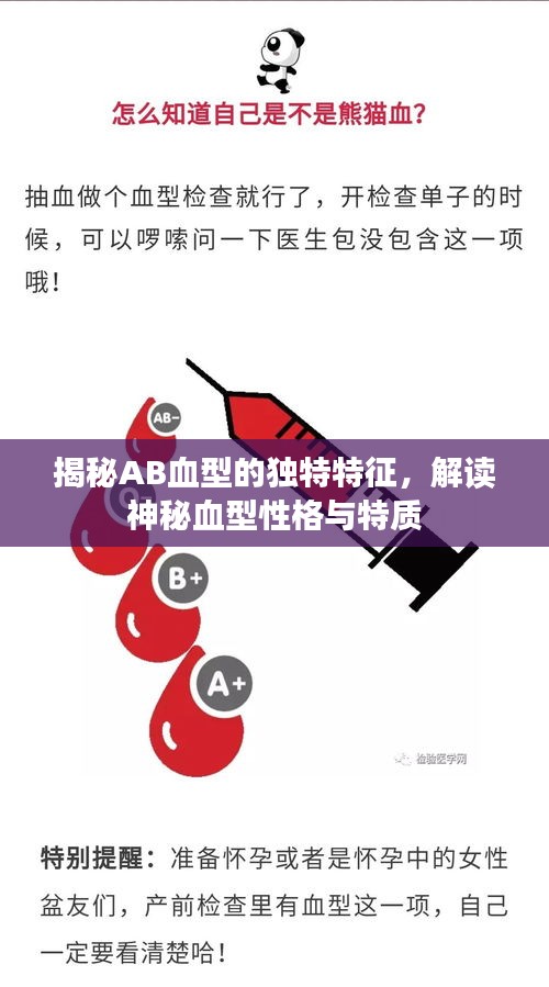 揭秘AB血型的独特特征，解读神秘血型性格与特质