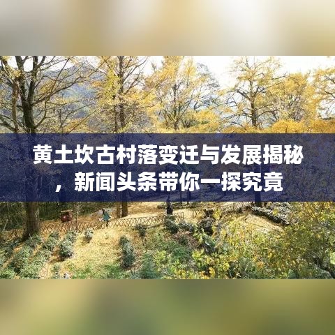 黄土坎古村落变迁与发展揭秘，新闻头条带你一探究竟