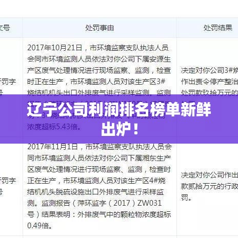 辽宁公司利润排名榜单新鲜出炉！