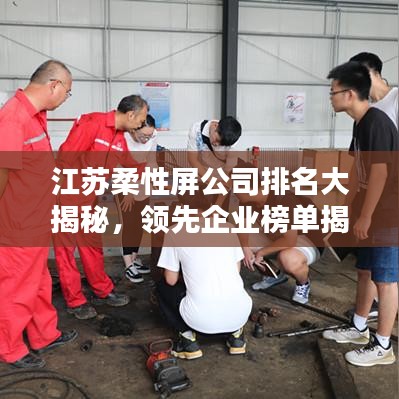 江苏柔性屏公司排名大揭秘，领先企业榜单揭晓！