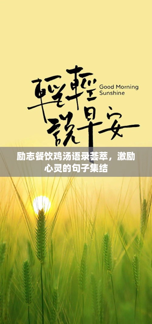 励志餐饮鸡汤语录荟萃，激励心灵的句子集结
