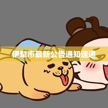 伊犁市最新公告通知速递