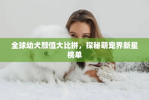 全球幼犬颜值大比拼，探秘萌宠界新星榜单