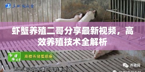 鞭驽策蹇