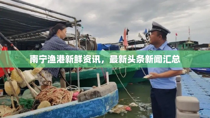 南宁渔港新鲜资讯，最新头条新闻汇总