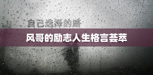 风哥的励志人生格言荟萃
