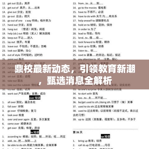 鼎校最新动态，引领教育新潮，甄选消息全解析
