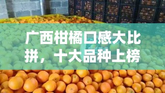 广西柑橘口感大比拼，十大品种上榜，美味排名前十！