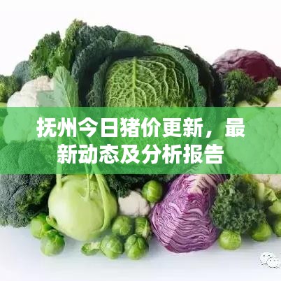 抚州今日猪价更新，最新动态及分析报告