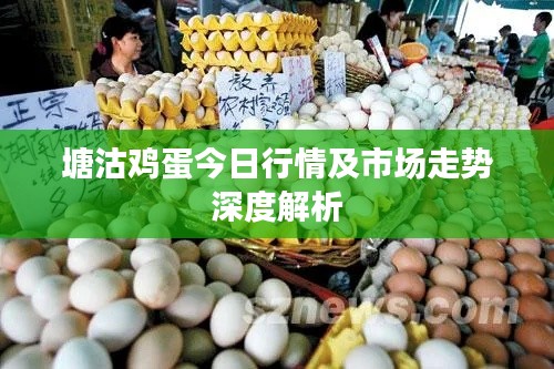塘沽鸡蛋今日行情及市场走势深度解析