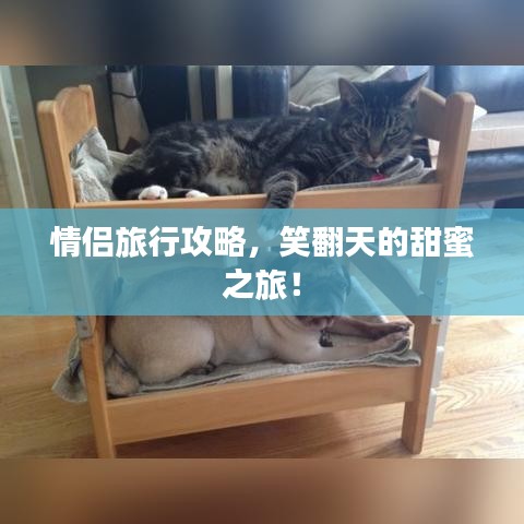 情侣旅行攻略，笑翻天的甜蜜之旅！