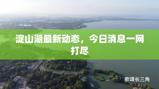 淀山湖最新动态，今日消息一网打尽