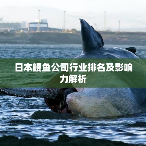 日本鳗鱼公司行业排名及影响力解析