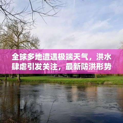 张睢阳齿