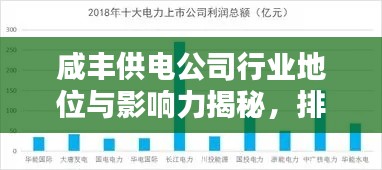 咸丰供电公司行业地位与影响力揭秘，排名及影响力不容小觑