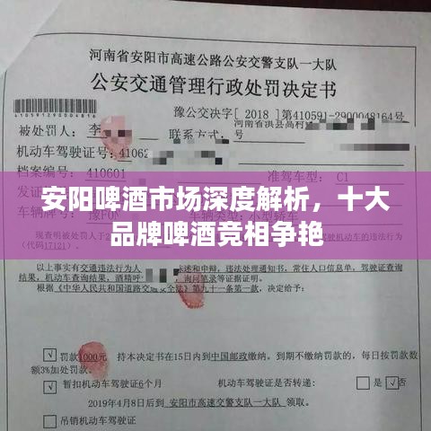 安阳啤酒市场深度解析，十大品牌啤酒竞相争艳