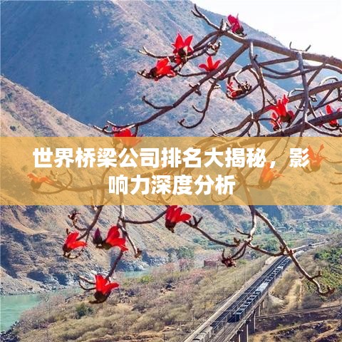 世界桥梁公司排名大揭秘，影响力深度分析