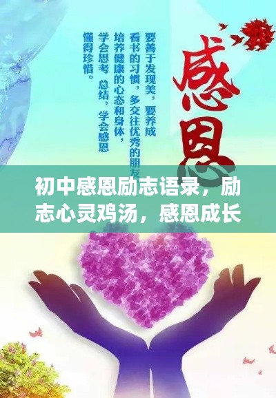 初中感恩励志语录，励志心灵鸡汤，感恩成长之路