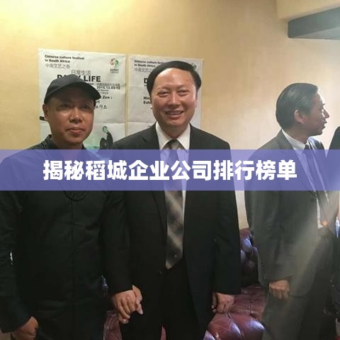 揭秘稻城企业公司排行榜单