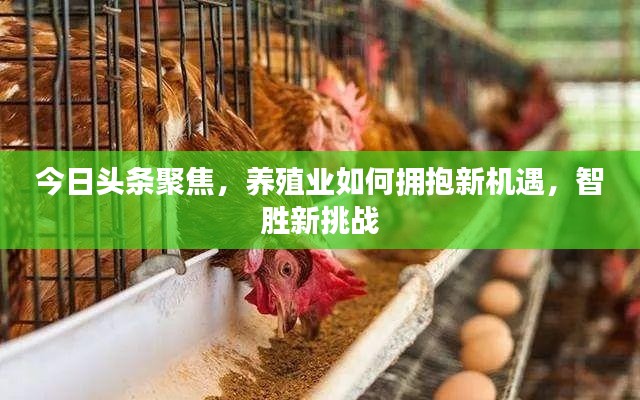 今日头条聚焦，养殖业如何拥抱新机遇，智胜新挑战