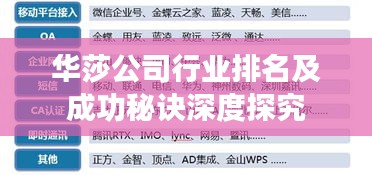 华莎公司行业排名及成功秘诀深度探究