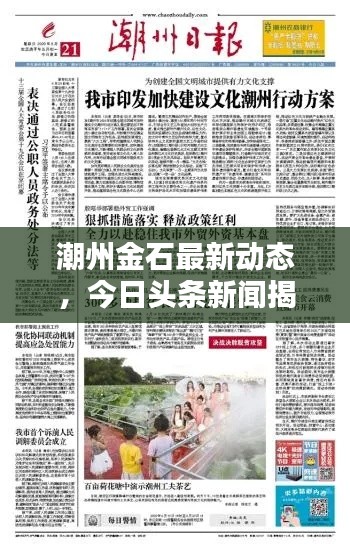 潮州金石最新动态，今日头条新闻揭秘