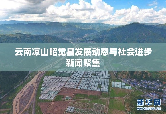 云南凉山昭觉县发展动态与社会进步新闻聚焦