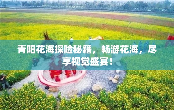 青阳花海探险秘籍，畅游花海，尽享视觉盛宴！