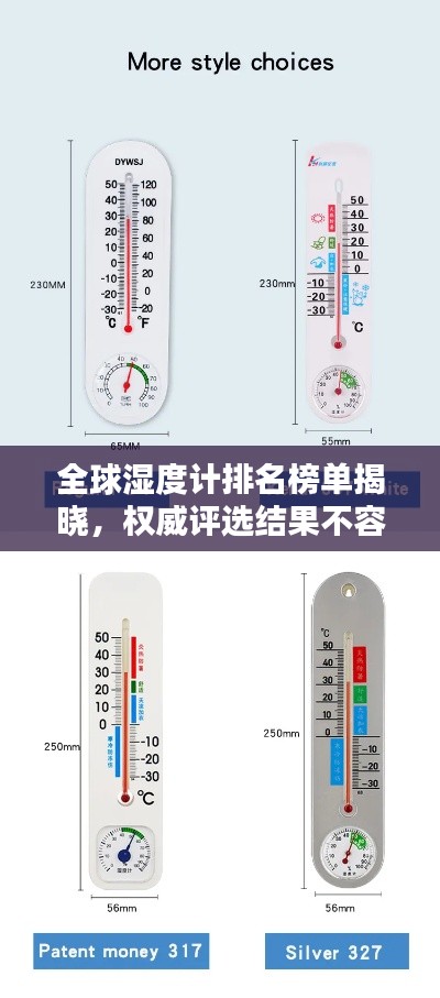 全球湿度计排名榜单揭晓，权威评选结果不容错过！