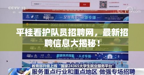 平桂看护队员招聘网，最新招聘信息大揭秘！