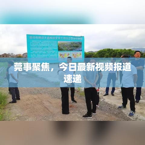 莞事聚焦，今日最新视频报道速递