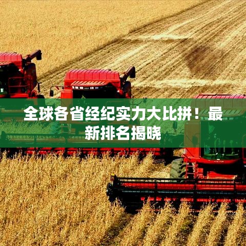 全球各省经纪实力大比拼！最新排名揭晓