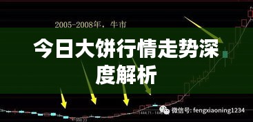 今日大饼行情走势深度解析