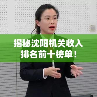 揭秘沈阳机关收入排名前十榜单！