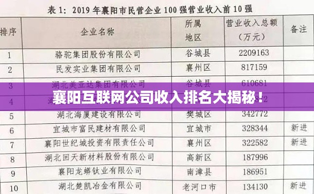 襄阳互联网公司收入排名大揭秘！