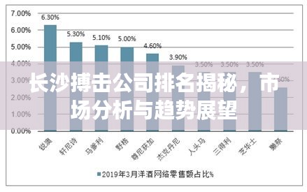 长沙搏击公司排名揭秘，市场分析与趋势展望