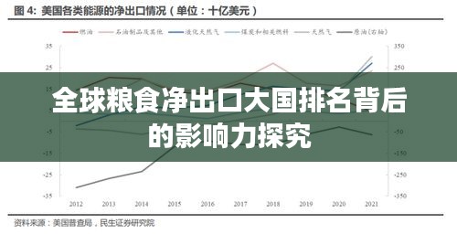 全球粮食净出口大国排名背后的影响力探究