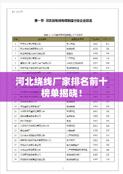 河北绕线厂家排名前十榜单揭晓！
