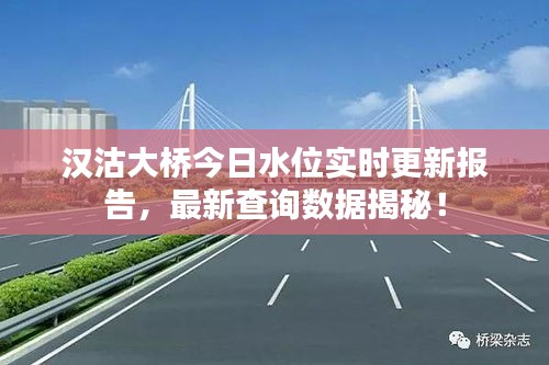 汉沽大桥今日水位实时更新报告，最新查询数据揭秘！