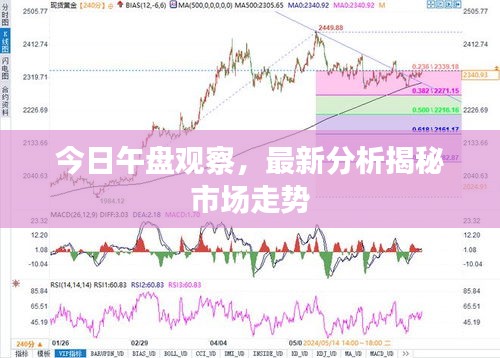 今日午盘观察，最新分析揭秘市场走势