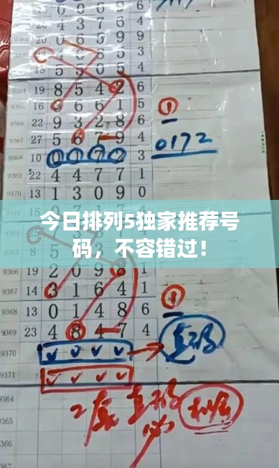 今日排列5独家推荐号码，不容错过！