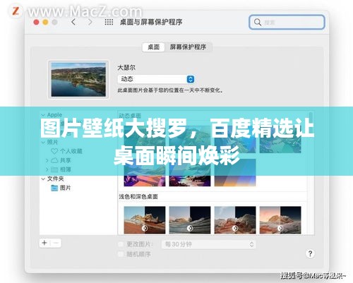 图片壁纸大搜罗，百度精选让桌面瞬间焕彩