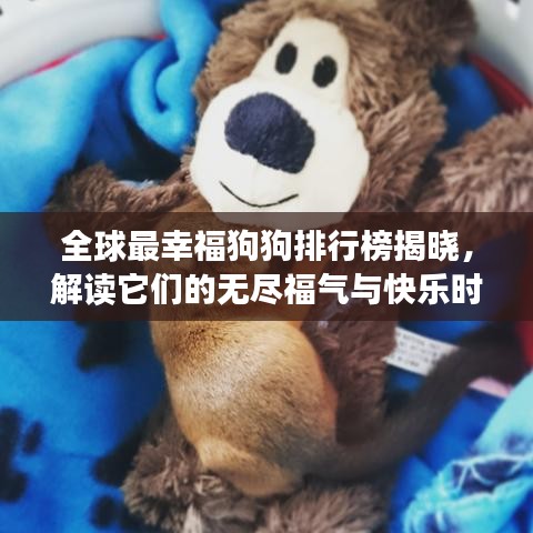 全球最幸福狗狗排行榜揭晓，解读它们的无尽福气与快乐时光