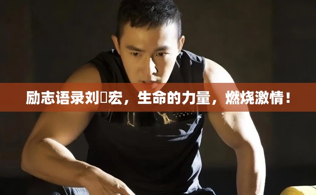 励志语录刘畊宏，生命的力量，燃烧激情！