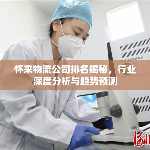 怀来物流公司排名揭秘，行业深度分析与趋势预测