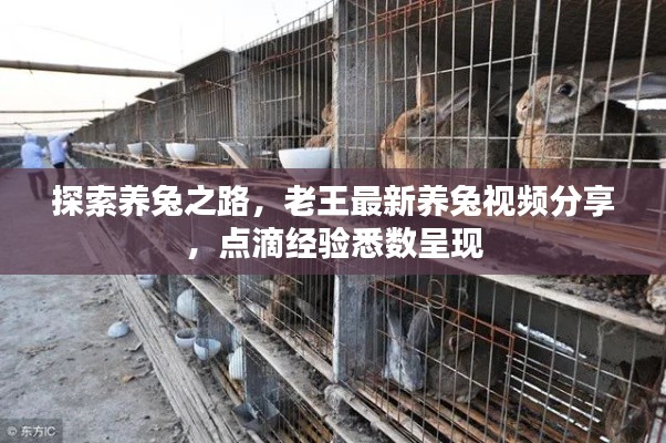 不知所云